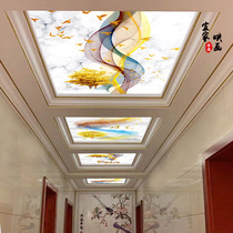 New Chinese elk abstract art glass ceiling decoration Acrylic entrance ceiling translucent plexiglass ceiling