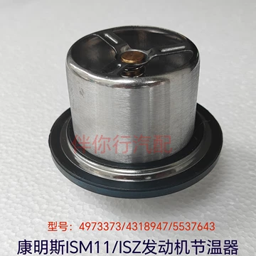 4318947调温器-4318947调温器促销价格、4318947调温器品牌- 淘宝