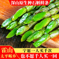 It is found that authentic Anhui Huoshan Dendrobium candidum fresh strip gift box fresh 5 years 100g fresh Dendrobium health tea