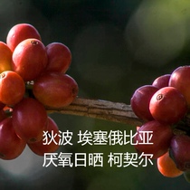 Bean Seeker Coffee Raw Beans Ethiopian Anaerobic Sun Cochle Dibo Select Micro Batch 1kg