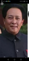 Mao Zedong COS wig False hair high temperature silk black short hair back type