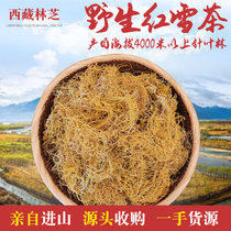 Tibet Nyingchi physical store straight hair 4200 meters above sea level wild super beard shaped golden silk red snow tea 500g