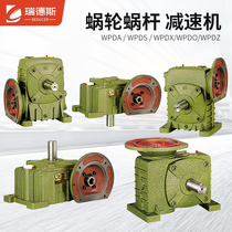 Reiders worm gear reducer WPDA WPDS WPDX WPDO WPDZ small gearbox gearbox