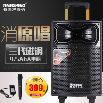 Tbel Sound 10 inch outdoor high-power Square dance mobile audio with wireless microphone K song lever Bluetooth speaker