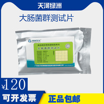 Colorectal bacteria group quick check sheet E. coli fast detection test sheet tableware food water quality inspection test paper
