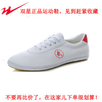 Double star martial arts shoes Taiji shoes bull tendons sneakers mens training shoes womens winter canvas training shoes
