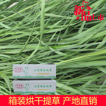 Homecoming drying Timothy grass rabbit guinea pig ChinChin Beiti grass hay gross weight 1kg