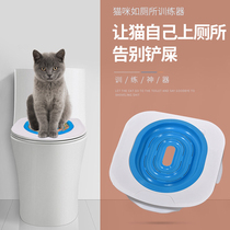 Pet cat toilet trainer cat on the toilet sitting and squatting pit practice teaching squatting toilet into the toilet learning guidance