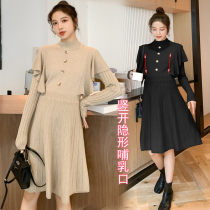 Pregnant women Spring and Autumn dress Fashion Net red ruffles slim body thin foreign temperament design sense knitted breastfeeding skirt