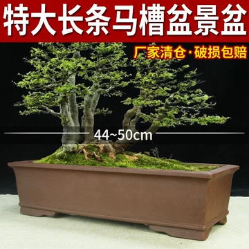 紫砂鉢 陶磁盆 景盆 長方形奎面馬槽盆大盆栽 小盆栽 工芸品 置物 紫砂马槽长方盆-紫砂马槽长方盆促销价格、紫砂马槽长方盆品牌- 淘宝