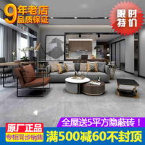 Meritocratic LD tiles 750x1500 FLOOR TILES Silent Wind Soft Light Anto Clear Water Die Provence Roman microcement
