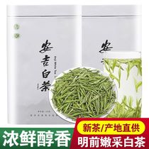 Anji white tea authentic premium 2021 new tea gift box gift rare green tea Before the rain 250g bulk tea