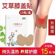 Jianerma (joint paste) Wormwood knee paste hot compress warm knee knee tie Ai leaf moxibustion paste