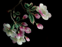 ] Su embroidery diy beginner kit 0 basic stitch scanning Cherry Blossom hand embroidered painting