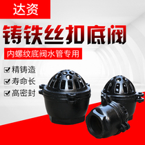H12X-2 5 cast iron threaded bottom valve Check valve pump check valve DN2540506580100
