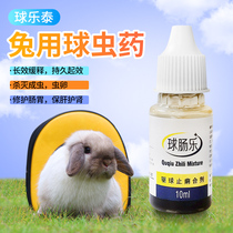 Rabbit Coccidiosis medicine Pet prevention and treatment of coccidiosis prevention and treatment of coccidiosis anti-coccidiosis oral liquid Lop rabbit deworming medicine