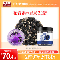 Yu Rensheng Black Medlar Qinghai T Grade Raised Raw Tea Non Ningxia Black Fruit Medlar Large Anthocyanin King
