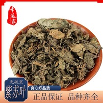 Perilla Chinese herbal medicine perilla leaf dried perilla leaf dried perilla leaf perilla 500g