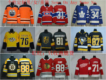 Customized Any name number ice hockey clothing childrens clothing womens mens clothing Customize Any Team Jersey