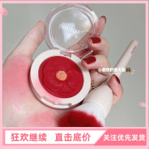 Yuesheng Camellia blush brush rose brush loose pink red flower