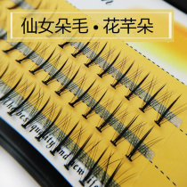 Scarecrow fairy flower Flower Qianduo Net red central thickened grafting eyelash single cluster of plain natural dense model