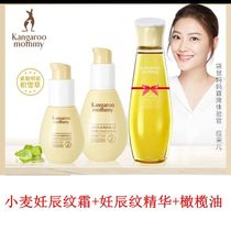 Kangaroo mother Olive oil stretch marks pregnant women skin care products strident set essence cream mid-term flagship store
