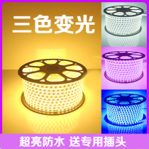 led light with strip three color color changing 220v100 meter living room ceiling indoor line light colorful outdoor waterproof super bright