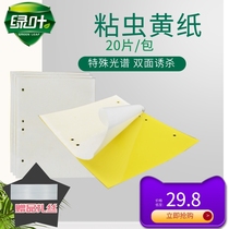 Fruit tree sticky insect plate tea fly appliqued vegetable garden mosquito trapping mosquito repellent for sticking to yellow paper fruits and vegetables grapes 