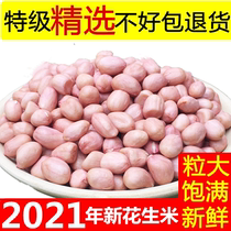 2021 New peanuts fresh white sand fruit raw peanuts 5kg bulk peanut kernel oil under the cultivation of wine and vegetables