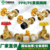 PPR copper gate valve PPR valve Double-head live copper ball shut-off valve 20 4 points PPR water pipe fittings accessories