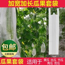 Fruit bagging and anti-bird waterproof plastic bag Melon Cucumber melon Melon Fruits fruit and fruit bagging