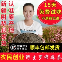 Apoocynum tea Xinjiang downgrade wild new bud origin red stem specialty bulk pressure health tea