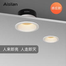 Esland LED embedded aperture spotlight human radar microwave induction ceiling downlight entrance corridor