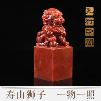  Seal engraving seal Shoushan Stone Beijing Lion calligraphy Calligraphy and painting idle chapter Collection book gift Hand lettering Name seal