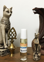 Spot spot Egyptian buyer Egypt high quality flavor Perfume Oil constellation fragrance water bottle