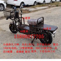 Wang Dali Electric Vehicle Pull Takeaway 72 Volt 60 Volt Motorcycle Courier Car