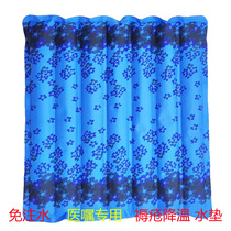 Added water bag cushion Water-free hospital water pad Anti-bedsore ice pad Ass Nursing student cold pad
