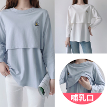 Breast-feeding clothes Spring and Autumn wear cotton breast-feeding base shirt autumn long-sleeved breast-feeding T-shirt