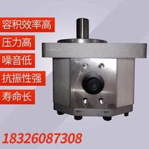 Hefei Changyuan Hefei Xinren CBQ-G540 550-AFH ALP hydraulic gear pump for hydraulic press