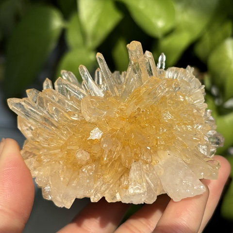 菊花水晶精选和菊花水晶品牌价格与图片-淘宝商品网