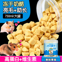 Hamster snacks freeze-dried grain Golden Bear cheese nutrition hedgehog fattening molars pregnancy supplies rat grain staple grain