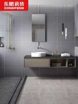 Dongpeng tile moon shadow gray toilet Nordic plain matte kitchen tiles pure gray wall tiles