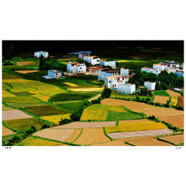 (DELIVERED FRAMED) International Photography Awards recipient of the Expressionism (home)