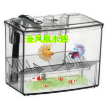 Fish tank breeding isolation box Pokémon guppies external pneumatic juvenile fish protection box 1 25L small