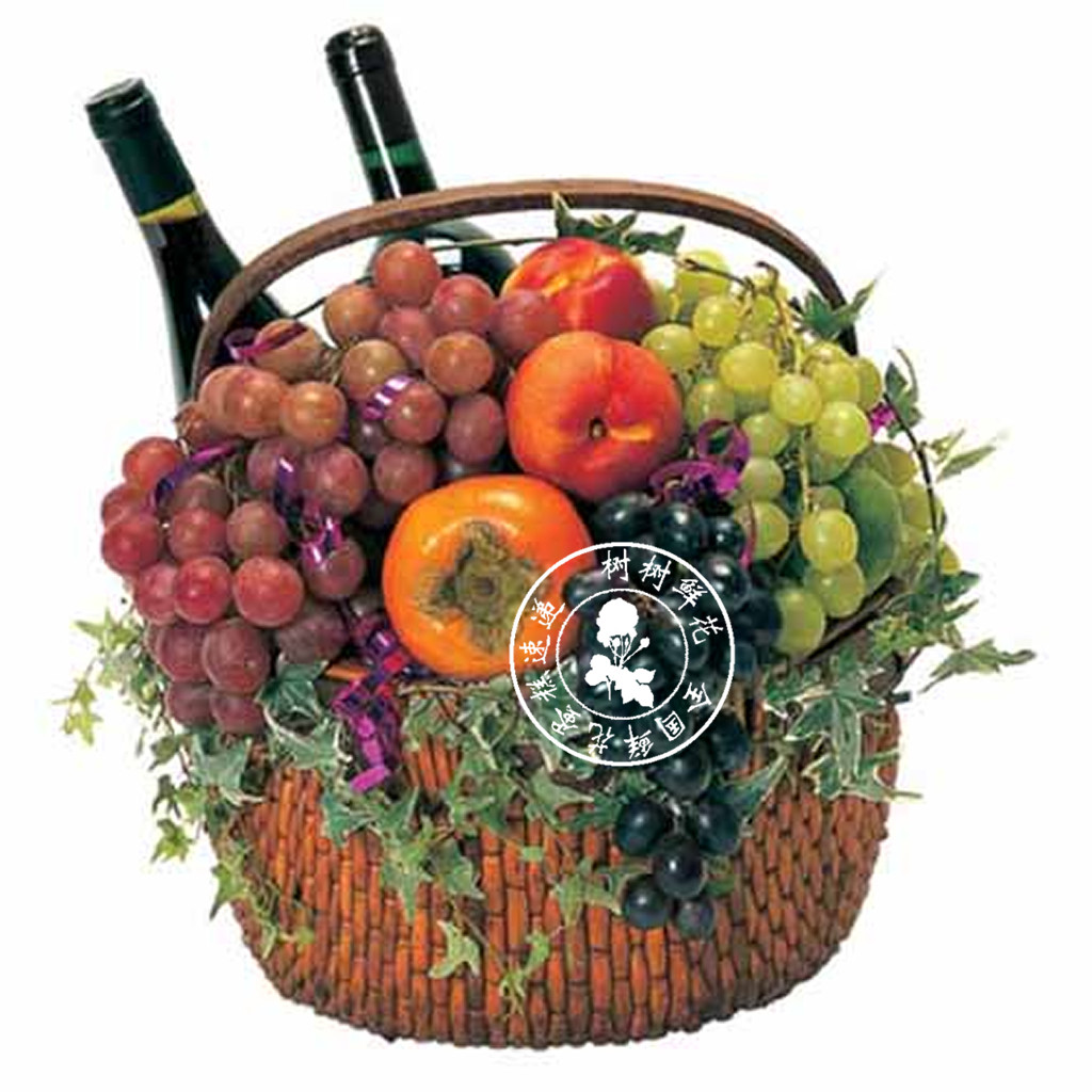 Red wine fruit hamper Nationwide delivery to send teachers leaders elders patients to visit bless apologize express your heart