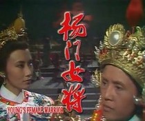DVD Player Version (Yeung Mun Girl)Wang Ming Tsuen Feng Bao Bao 36 episodes 3 discs (Cantonese)