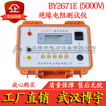 Boyu BY2671E Insulation Resistance Tester 5KV insulation meter 5000v digital MEGOHMMETER shake table