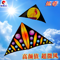 Weifang Feiyue professional new kite colorful breeze triangle 20D umbrella adult large kite