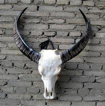 Buffalo skull crafts Real cow head ornaments Cow and sheep skull specimens Natural cow head characteristic handicrafts