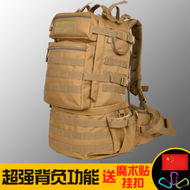 Longye outdoor mountaineering bag multifunctional backpack for men and women waterproof travel bag 50L large capacity